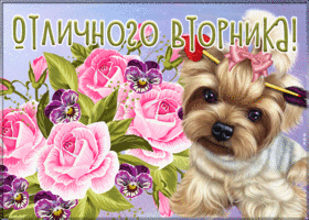 Открытка замечательная открытка с вторником