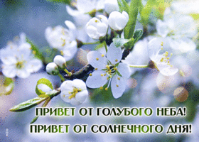 Picture зажигательная гиф-открытка, привет от голубого неба