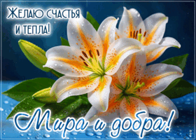 Postcard желаю счастья и тепла! мира и добра