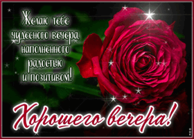 Picture желаю тебе чудесного вечера, наполненного радостью