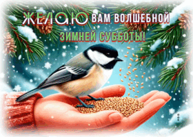 Postcard желаю вам волшебный зимней субботы