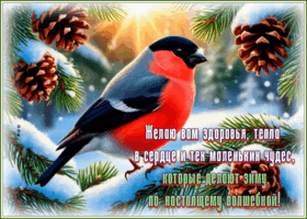 Picture желаю вам здоровья, тепла в сердце и маленьких чудес