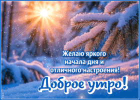 Postcard желаю яркого начала дня и отличного настроения