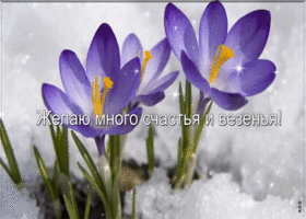 Открытка желаю много счастья и везения