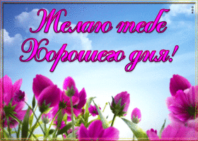 Картинка желаю тебе хорошего дня
