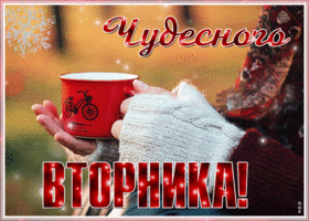 Картинка живая картинка с вторником