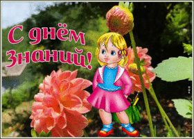 Открытка живая открытка день знаний - 1 сентября