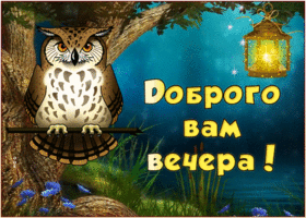 Открытка живая открытка добрый вечер