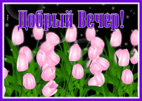 Открытка живая открытка добрый вечер с розами