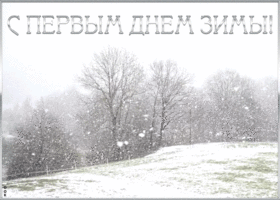 Открытка живая открытка первый день зимы