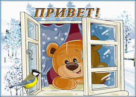 Картинка живая открытка привет с птицей