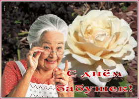 Открытка живая открытка с днем бабушек