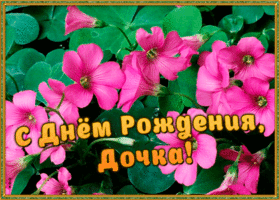 Картинка живая открытка с днем рождения дочери