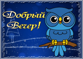 Picture зимняя открытка добрый вечер с совой