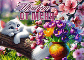 Postcard живая гиф-открытка, привет от меня