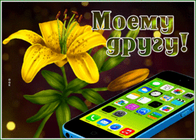 Postcard живая открытка моему другу с телефоном