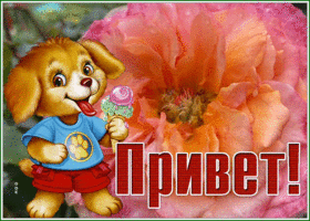 Picture живая открытка привет с собачкой