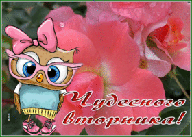 Postcard живая открытка с пожеланием чудесного вторника