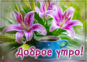 Postcard жизнерадостная гиф-открытка, доброго и милого утра