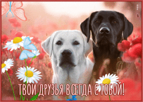 Picture жизнерадостная открытка твои друзья всегда с тобой