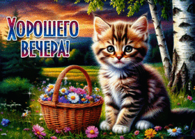 Picture звонкая гиф-открытка, хорошего вечера от котика