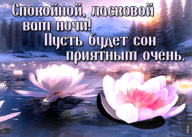 Postcard звучная гиф-открытка, ласковой ночи вам